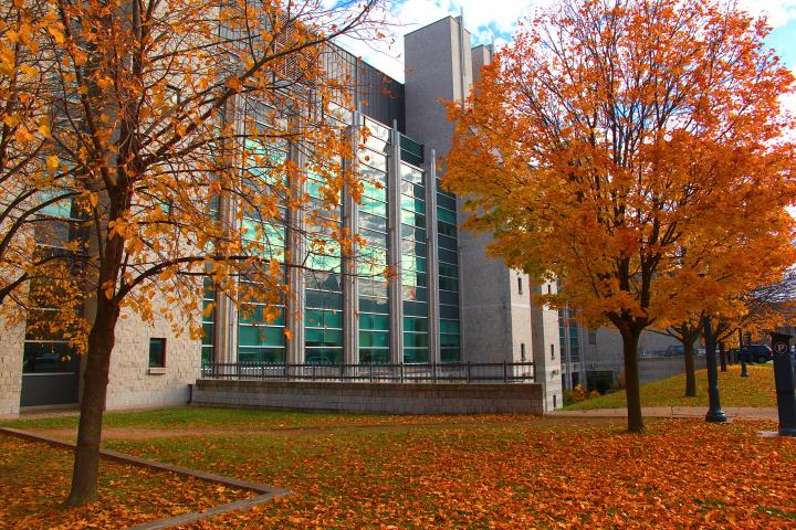 Stauffer Library on a fall's day