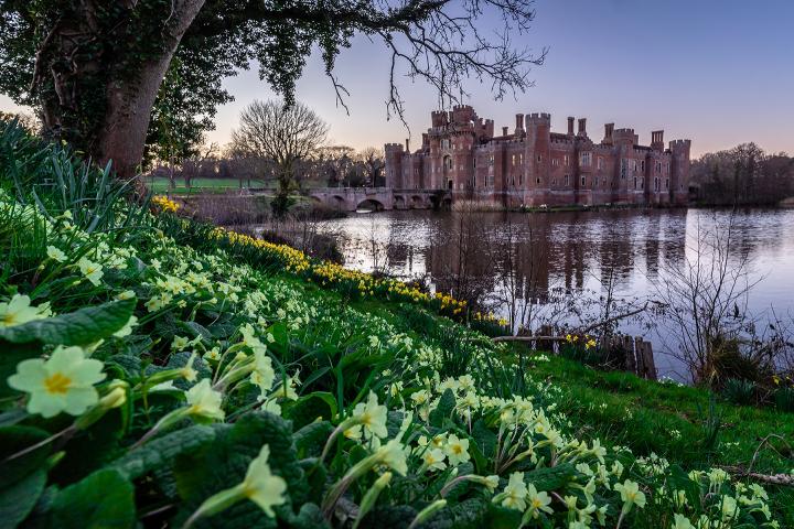 Herstmonceux Castle is the background and blooming daffodils in the foreground that is separated by a pond