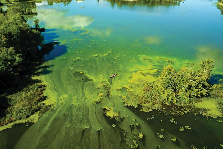 Photo from above looking down over greenish blue water.