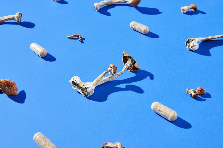 Mushrooms and pill capsules on a bright blue background.