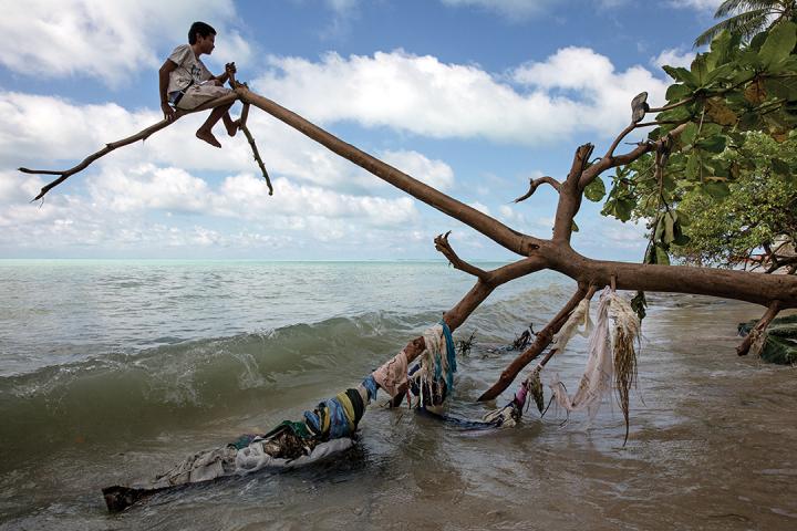 A boy sits on the tip of a tree that has fallen beside the ocean. Some branches of the tree have pieces of clothed wrapped around it.