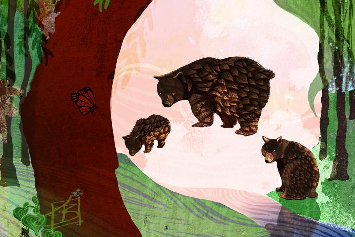 Illustration of three bears walking through a forest, framed by trees and a large pale sun.