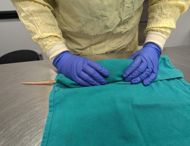 Torso or Sausage Wrap Image 3