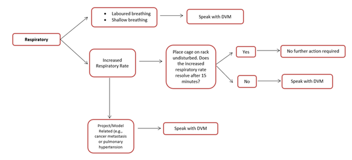 Flow Chart, Respiratory