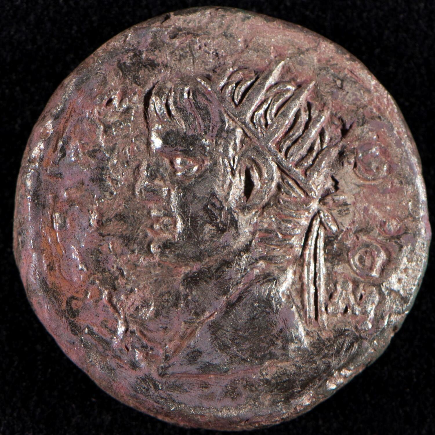 Verso of portrait coin above