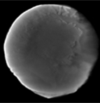 Micro-CT scans of DN 43