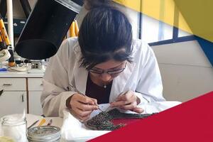 A person working in a lab