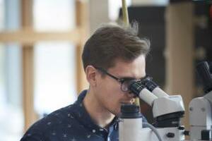 A person looking through a microscope at a piece of art