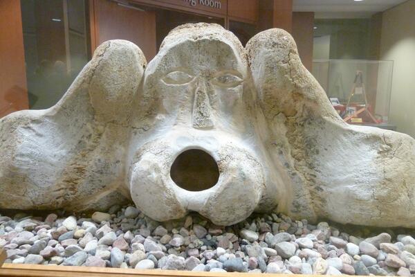 Stauffer Library Art Conservation Research Guide 