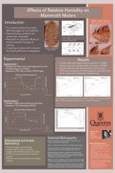 A poster from Samantha Fisher's research project
