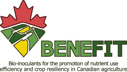 BENEFIT logo