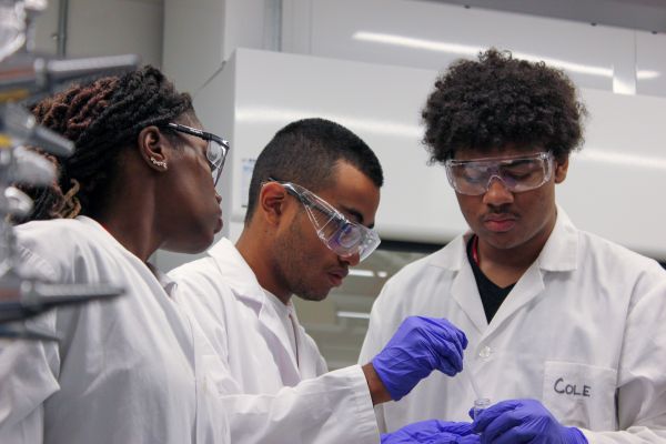 students doing research in a lab