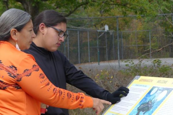 On the path to understanding