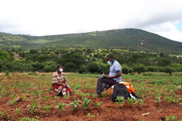 Face-to-face interview with a female small-scale  farmer in Tanzania while on exchange