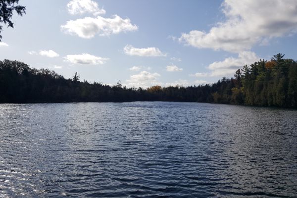 Crawford Lake in Milton, Ontario. Trees surrounding the lake. 