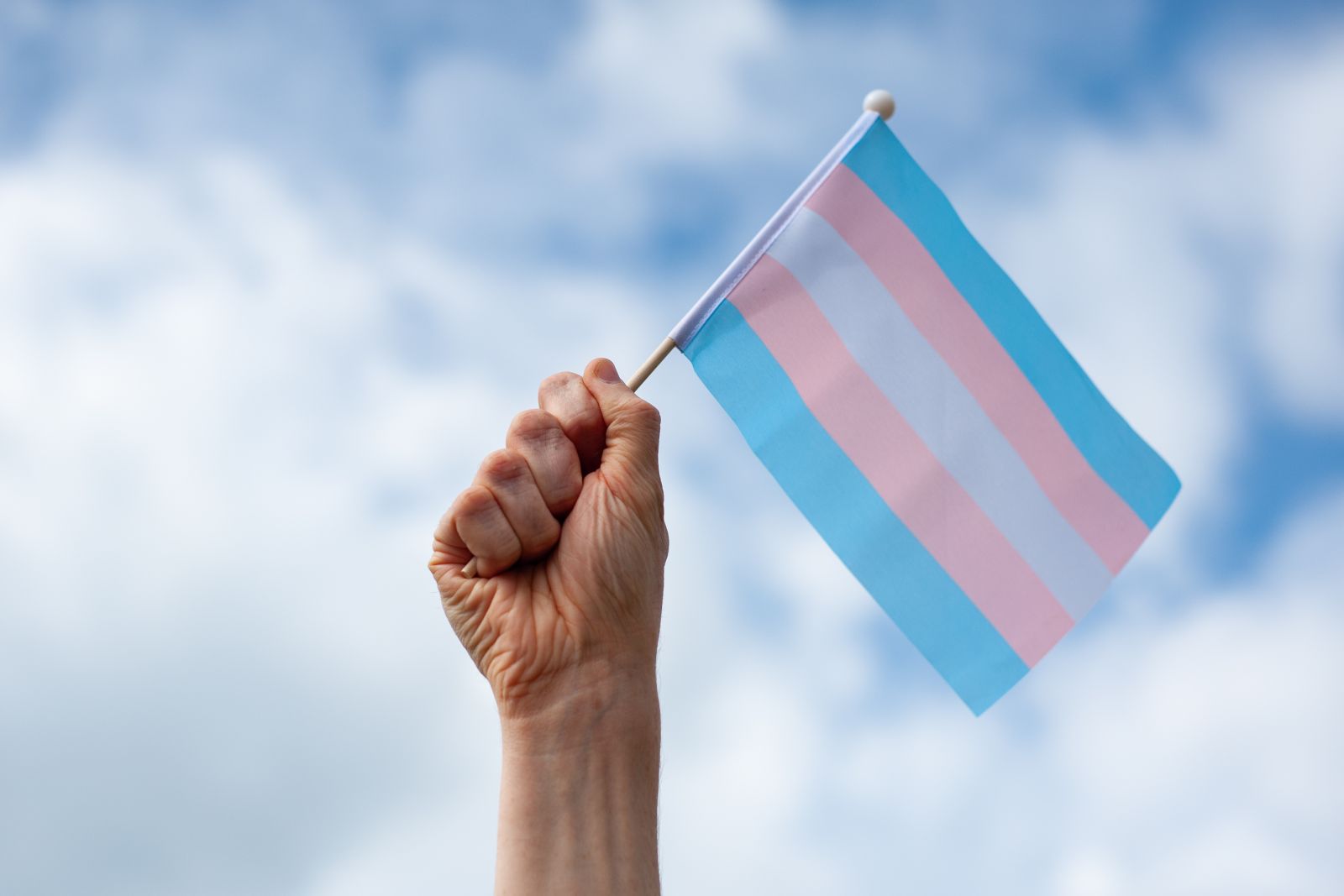 Transgender flag being held by a hand with a blue sky in the background.