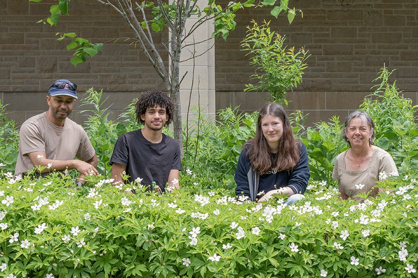 Plants on campus
