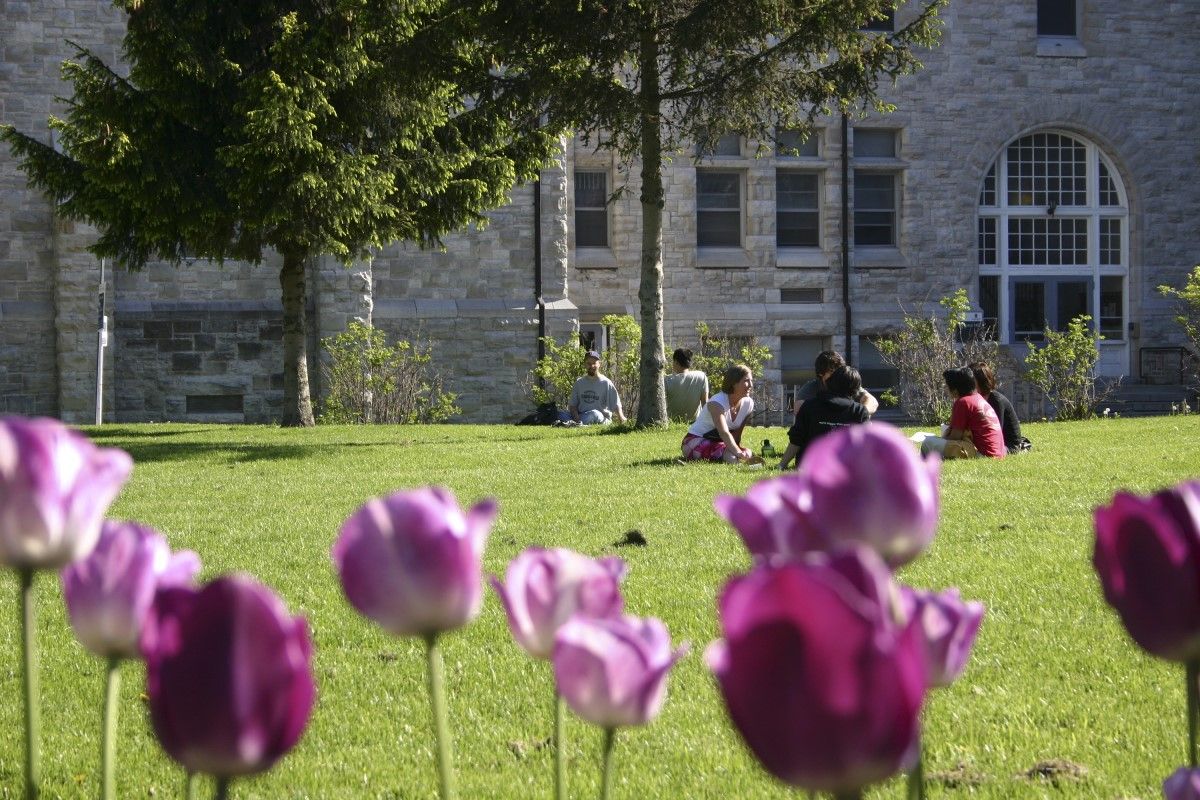 Tulips on Queen's campus. Students sitting in the grass.