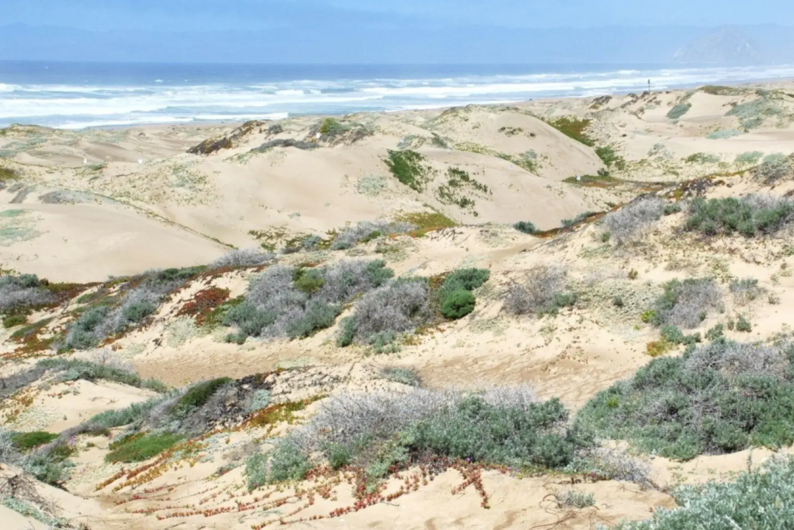 Rethinking conservation in a changing climate