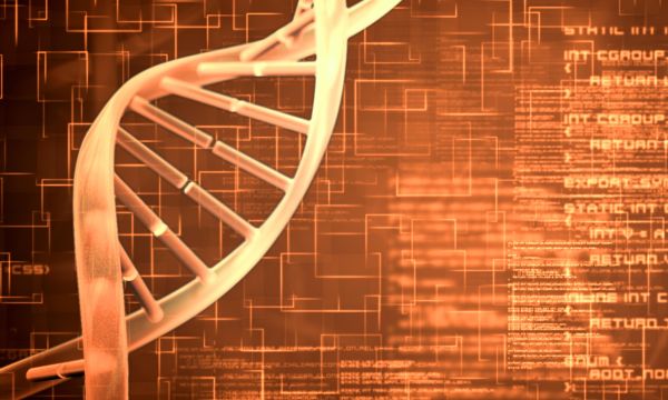 Human Genetics and Evolution