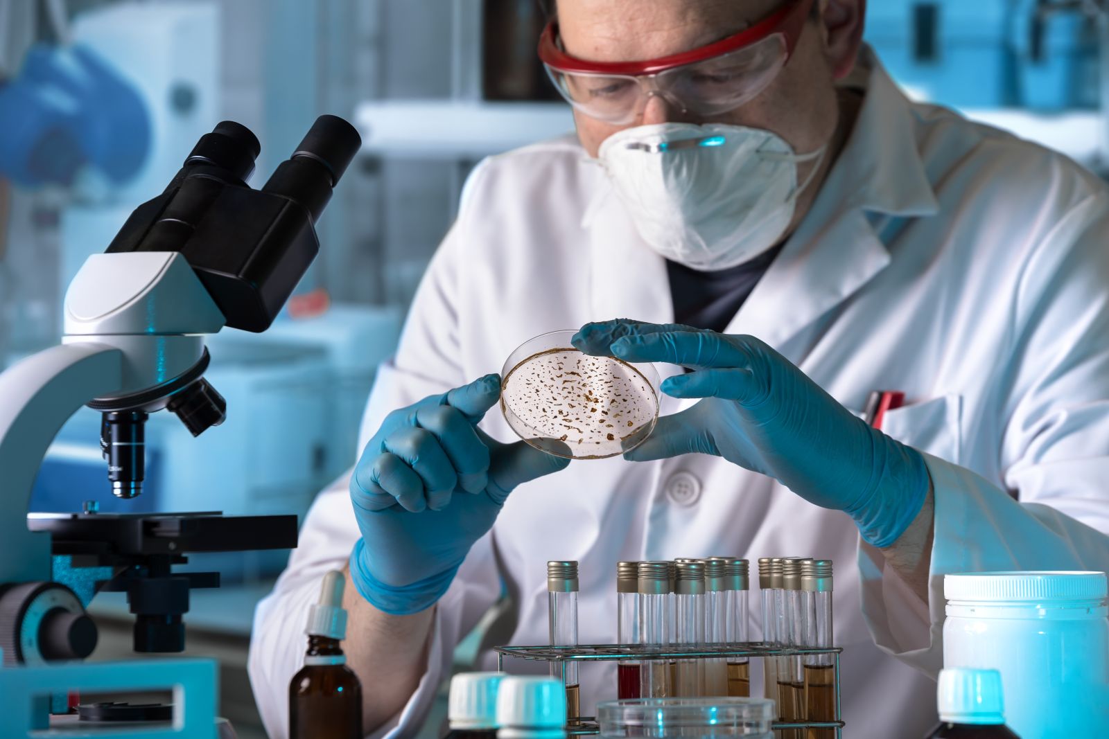 scientist viewing a petri dish in a lab