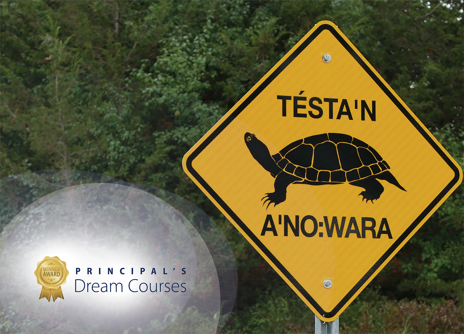 Turtle crossing sign and principal's dream course graphic