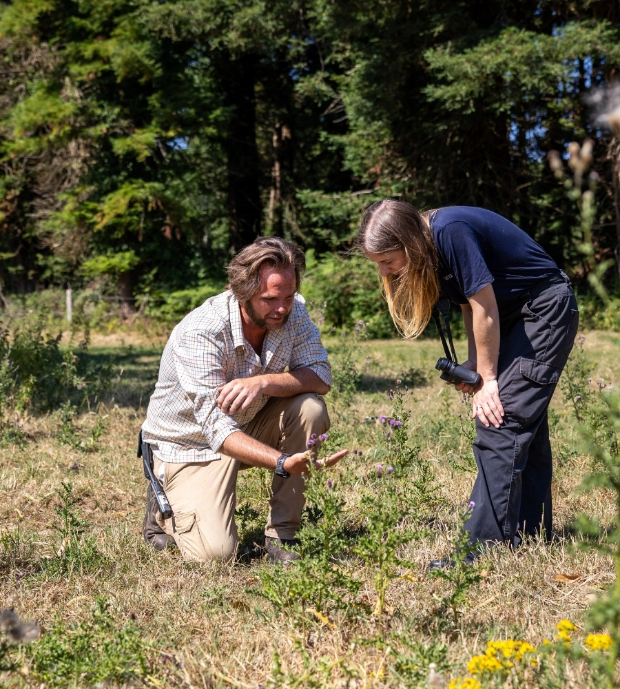 Two Ecologists on site