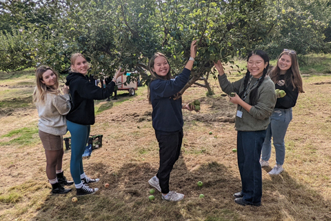 Students pick apples