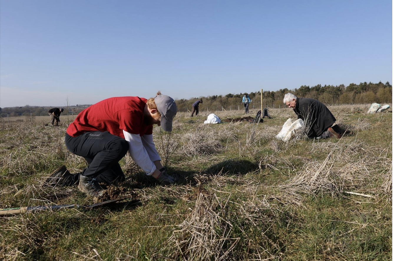 a person planting in a field