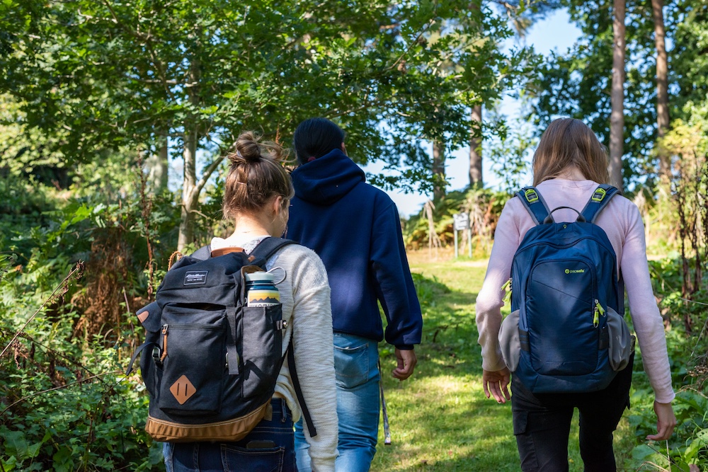 students walking on a path through bushes