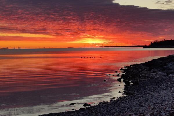 sunset picture