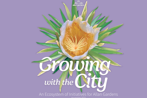 Growing with the City: An Ecosystem of Initiatives for Allan Gardens (2024)