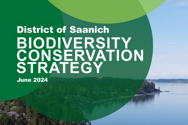 District of Saanich Biodiversity Conservation Strategy (2024)