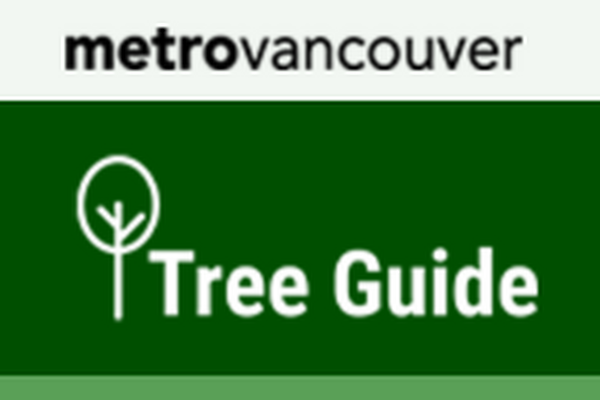 Metro Vancouver Tree Guide