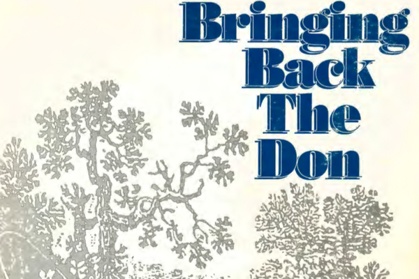 Bringing Back the Don (1991)