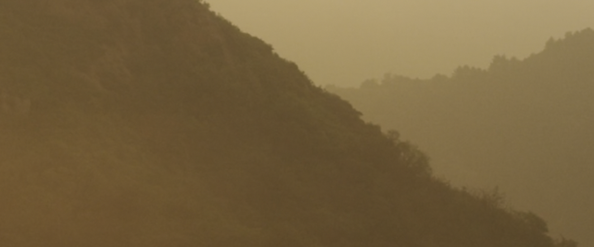 Speaker Series - Book Talk with Ian Garner