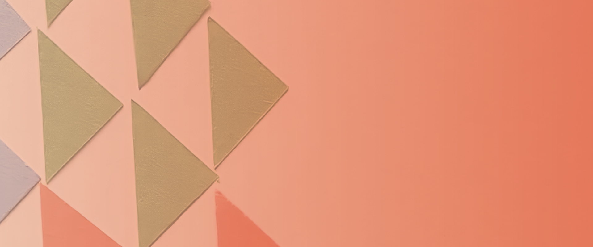 Book Launch - Total Defence Forces in the Twenty-First Century