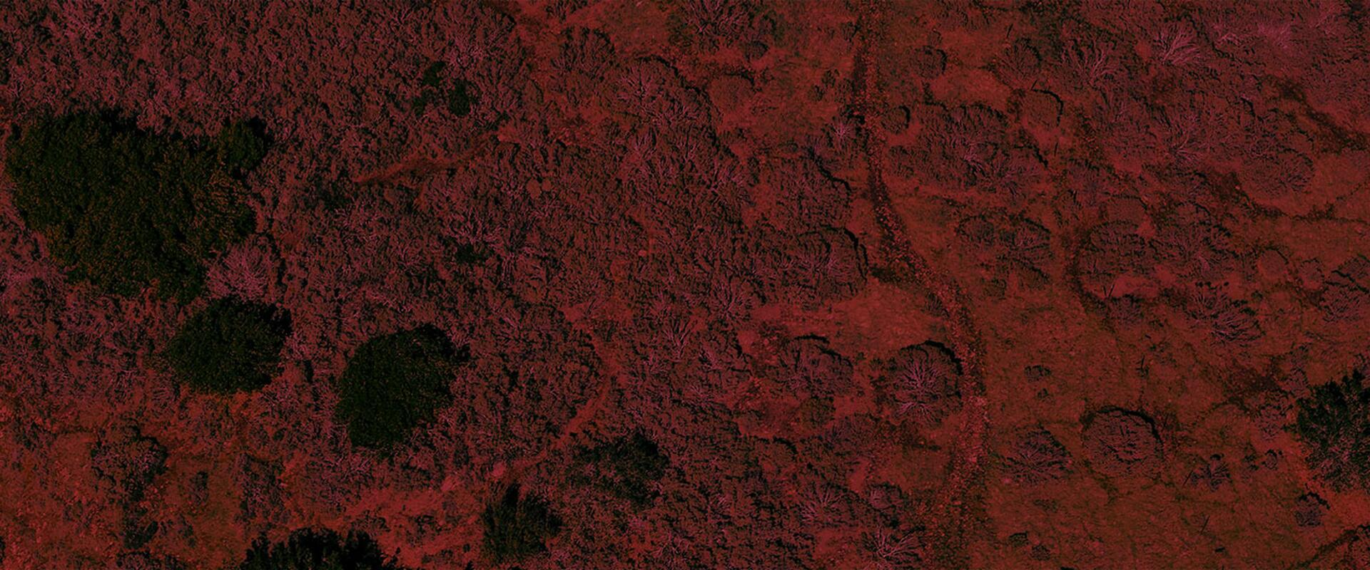 Initial exploration of Indigenous Defence engagement as a strategy of Reconciliation