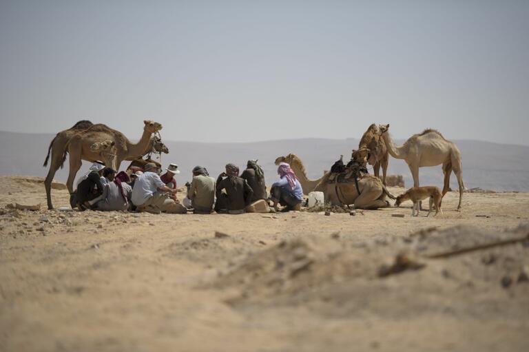 Students and locals taking a break, seated in the desert with camels lying and standing around as well.