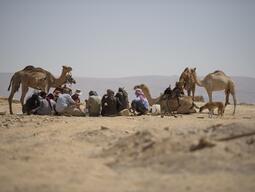 Students and locals taking a break, seated in the desert with camels lying and standing around as well.