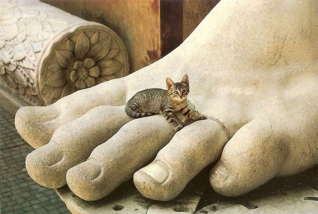 Foot of statue with cat on top