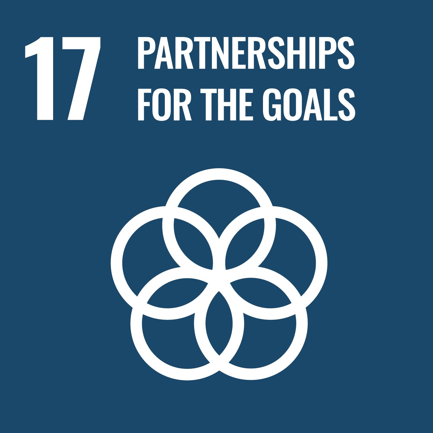 UN SDG Goal 17 Partnerships for the Goals