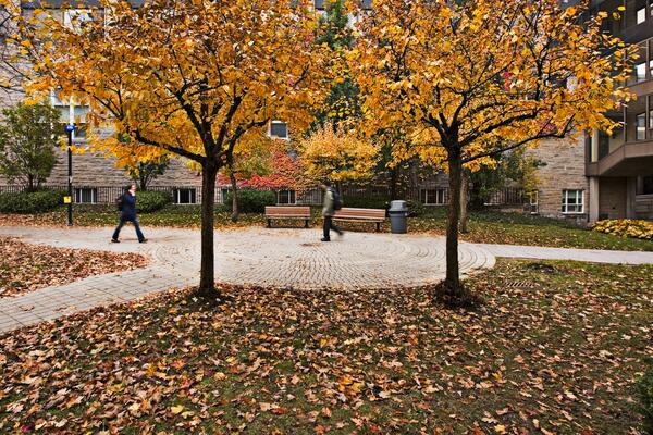Students walking among fall leaves
