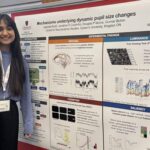 Connected Minds Research Retreat 2025: A Trainee’s Perspective