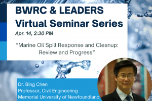 BWRC and LEADERS Virtual Seminar Series - Bing Chen