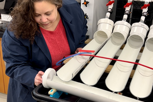 Dr. Sarah Jane Payne 