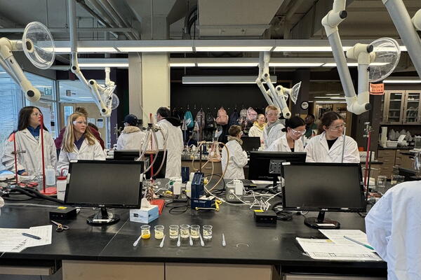 lab activity in Chernoff