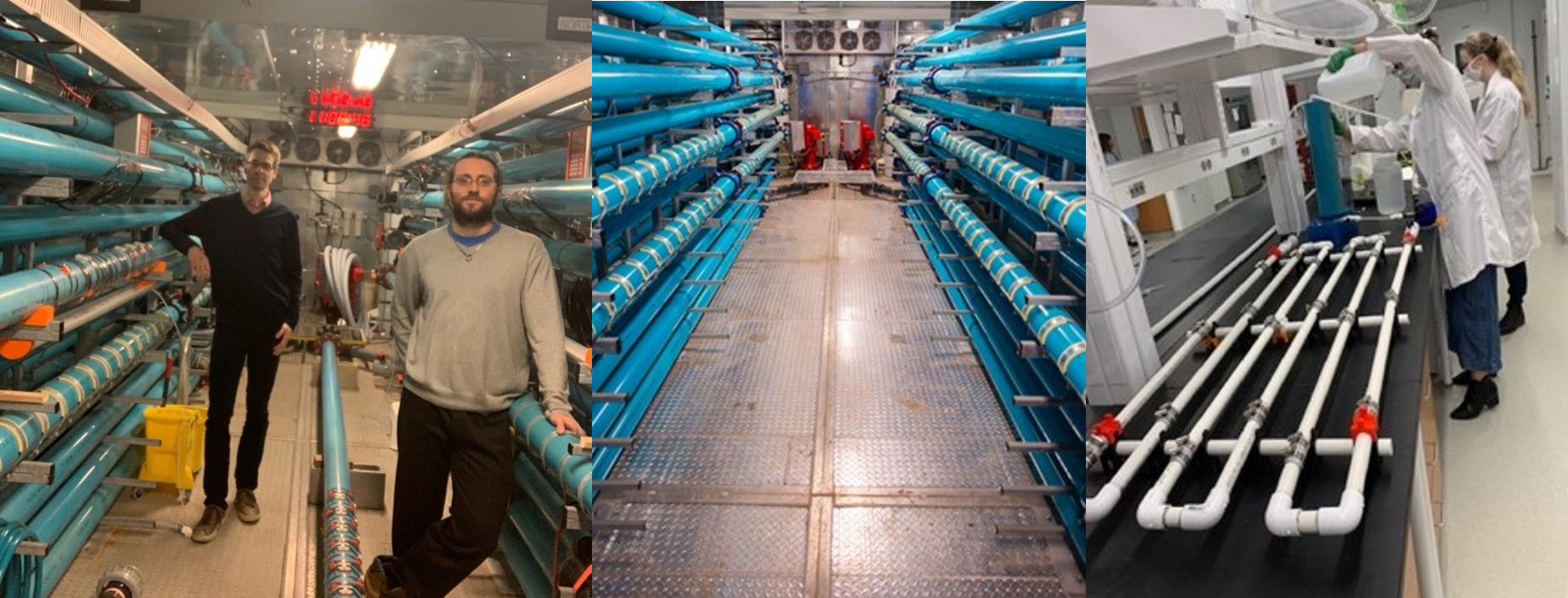 Drinking Water Quality Group 