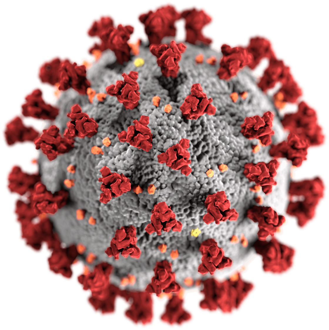 SARS-CoV-2 Virus Particle 