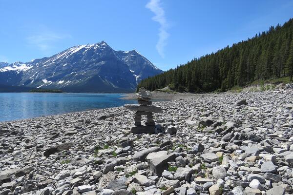 Land Rights and Indigeneity Fellows